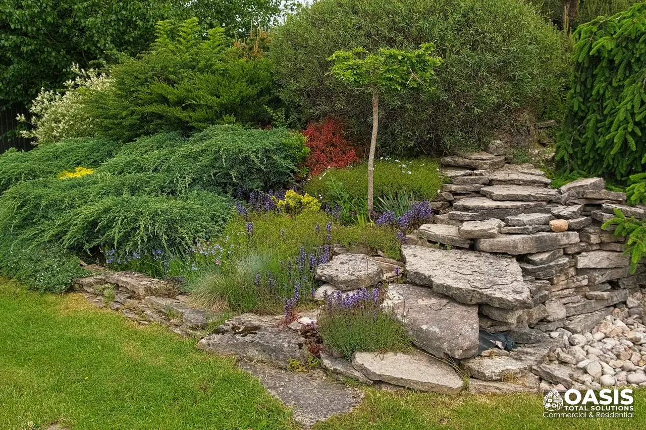 Landscaping work example in Natick, MA (2)