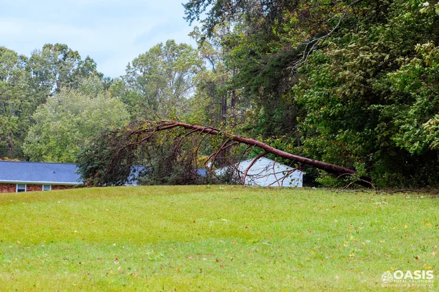 Partially fallen tree leaning near a home
