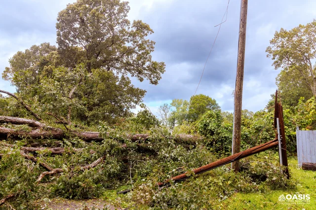 Fallen tree and broken utility pole after a storm