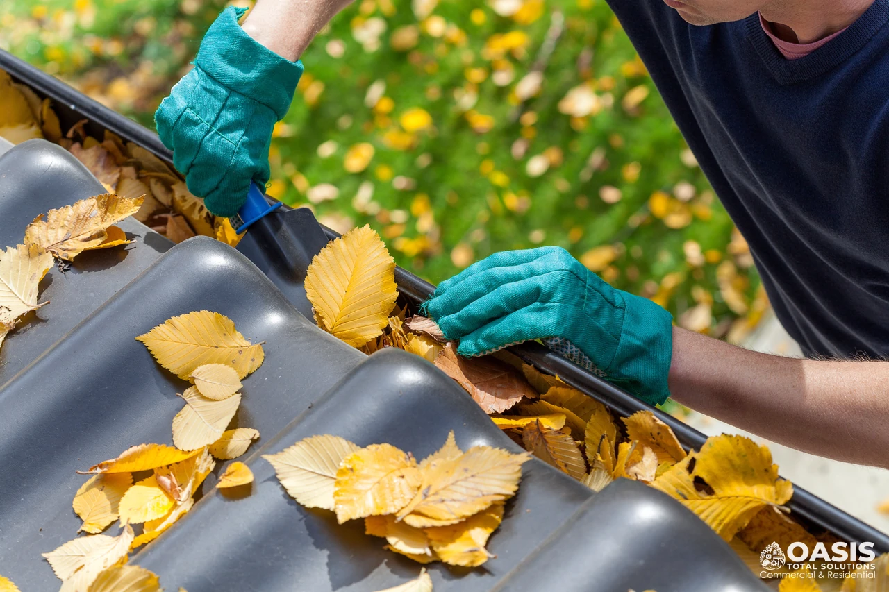 Gutter cleaning service by Oasis Total Solutions