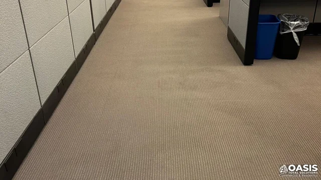 Office corridor carpet after routine maintenance