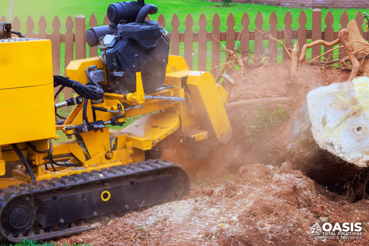 Landscaping work example in Worcester, MA (3)