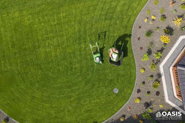 Drone view of curved lawn and beds