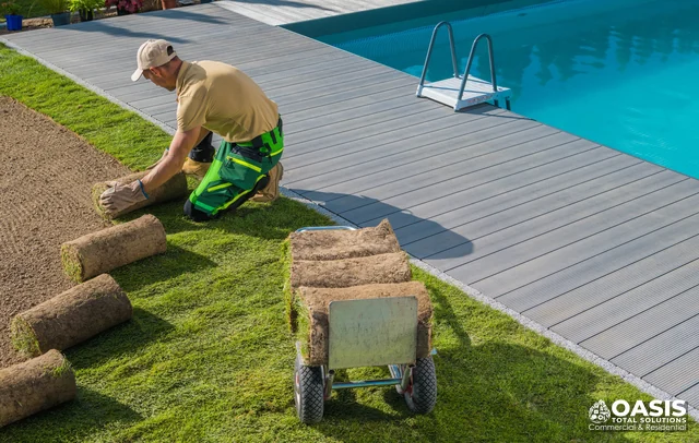 Sod installation near pool deck