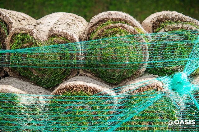 Fresh sod rolls for new lawn