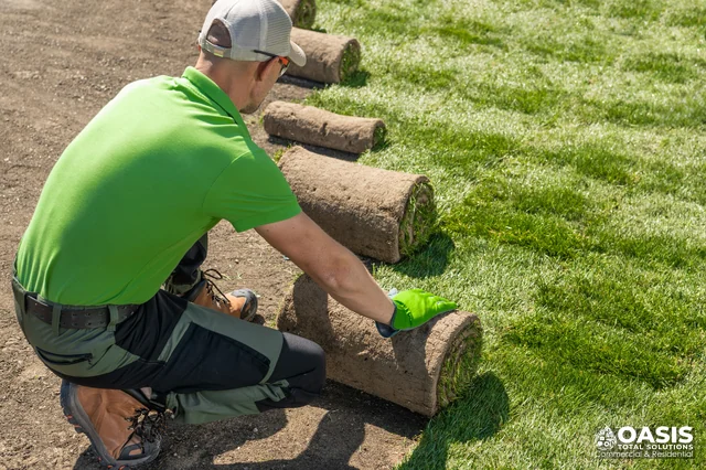 Worker installing fresh sod rolls