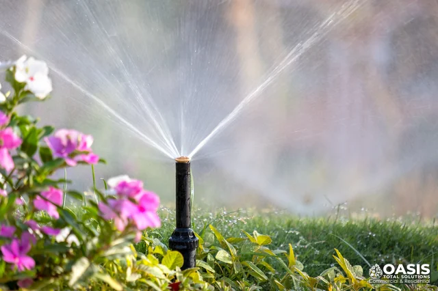 Irrigation sprinkler watering plants