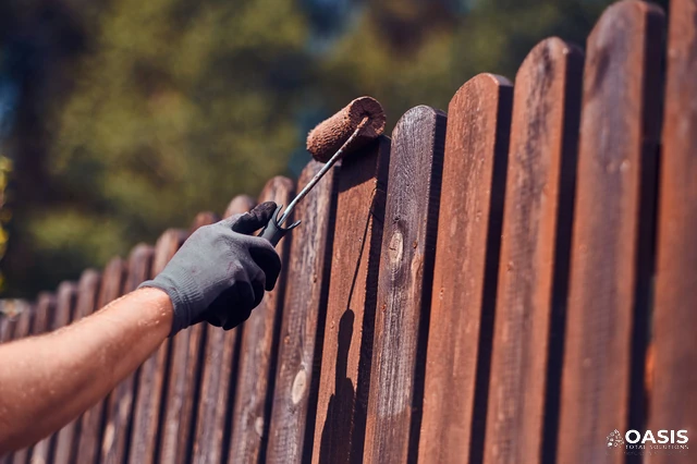 Rolling stain or paint on a wooden fence