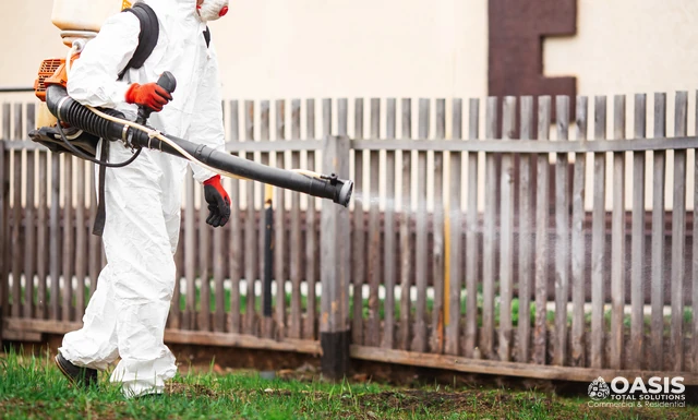 Mosquito and tick control with a backpack sprayer outdoors