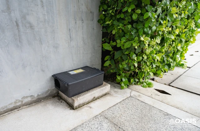 Tamper-resistant rodent bait station installed along exterior wall