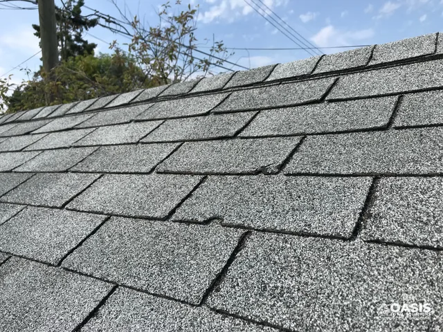 Asphalt shingles with lifted tabs and wear